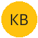 KB손해보험 로고